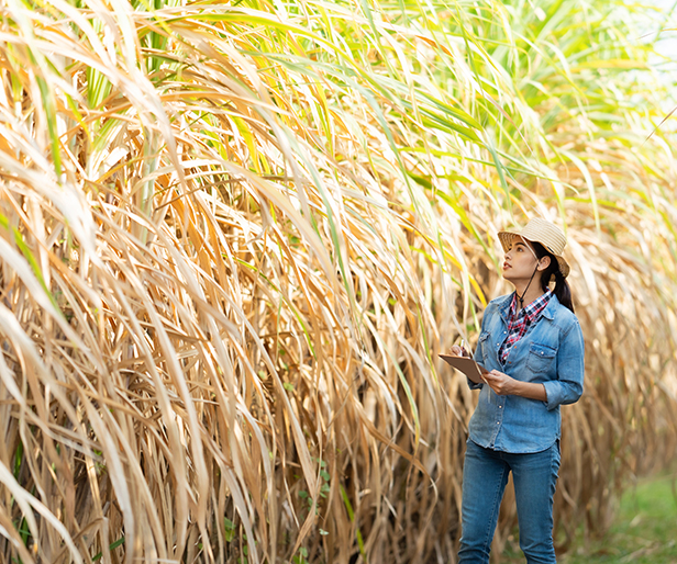 72-networks-data-shows-that-the-growth-of-rural-india-creates-a-new-fulcrum-of-opportunities