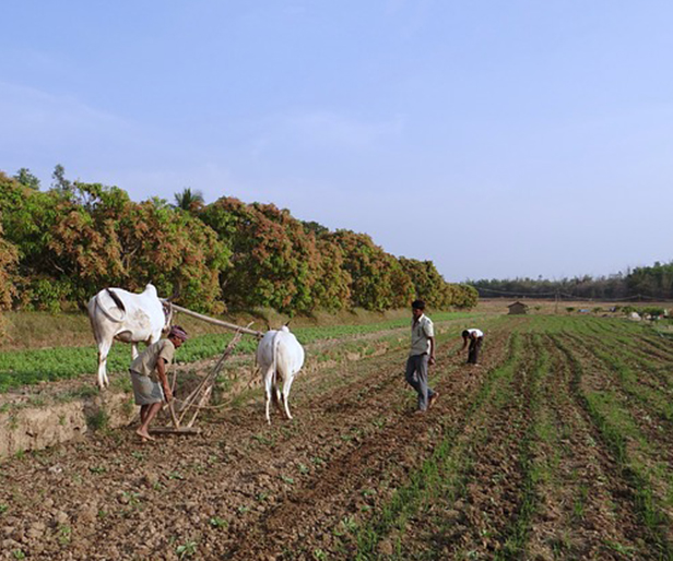 data-shows-that-the-growth-of-rural-india-creates-a-new-fulcrum-of-opportunities-72-networks